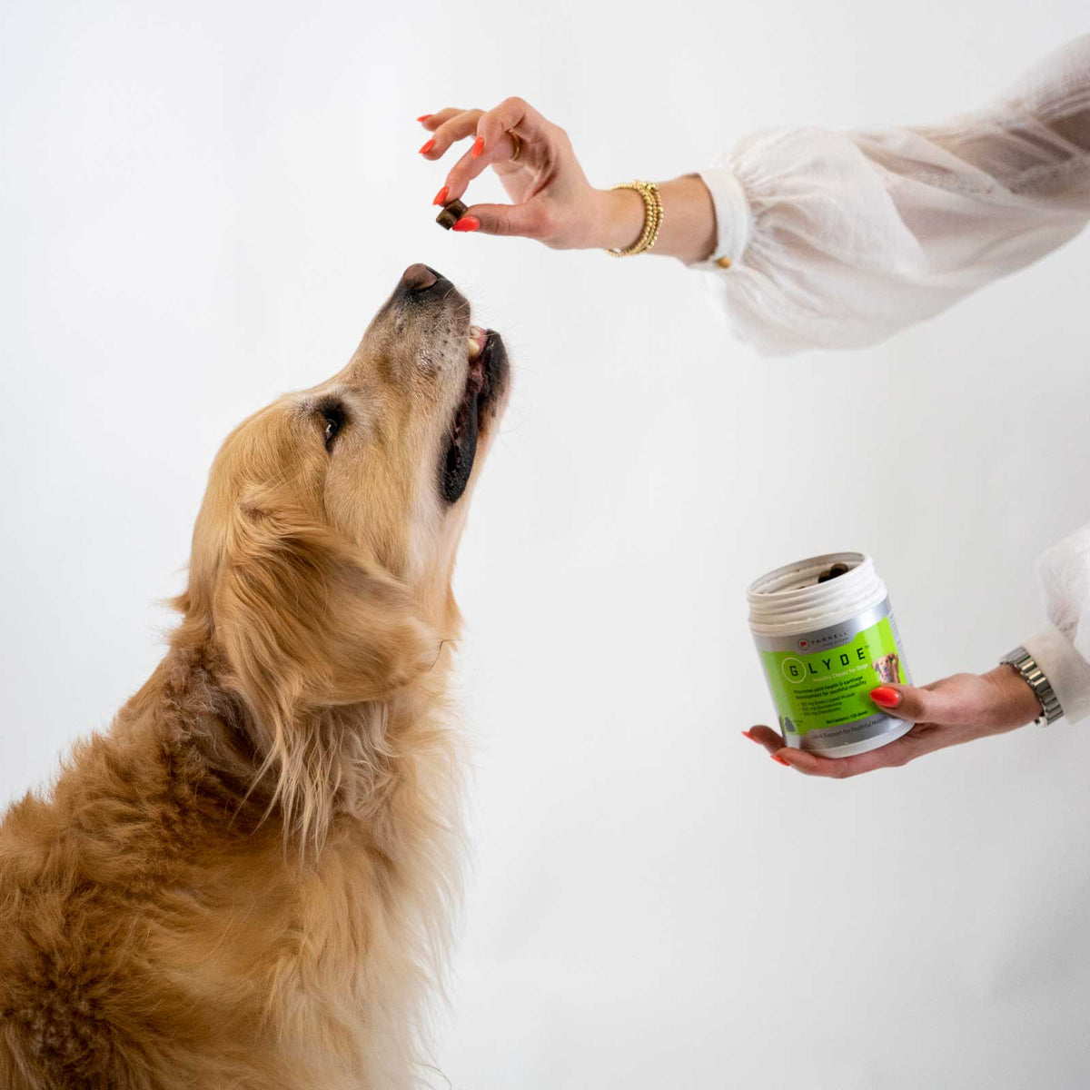 Dog Joint Supplement Chews product image 5