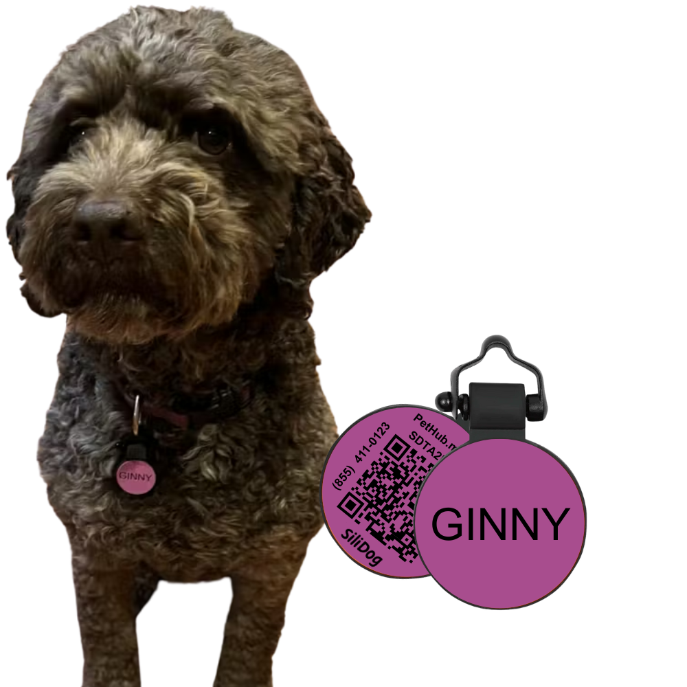 QR ID Tag product image 2