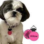 Digital QR Pet ID Tag product image 2