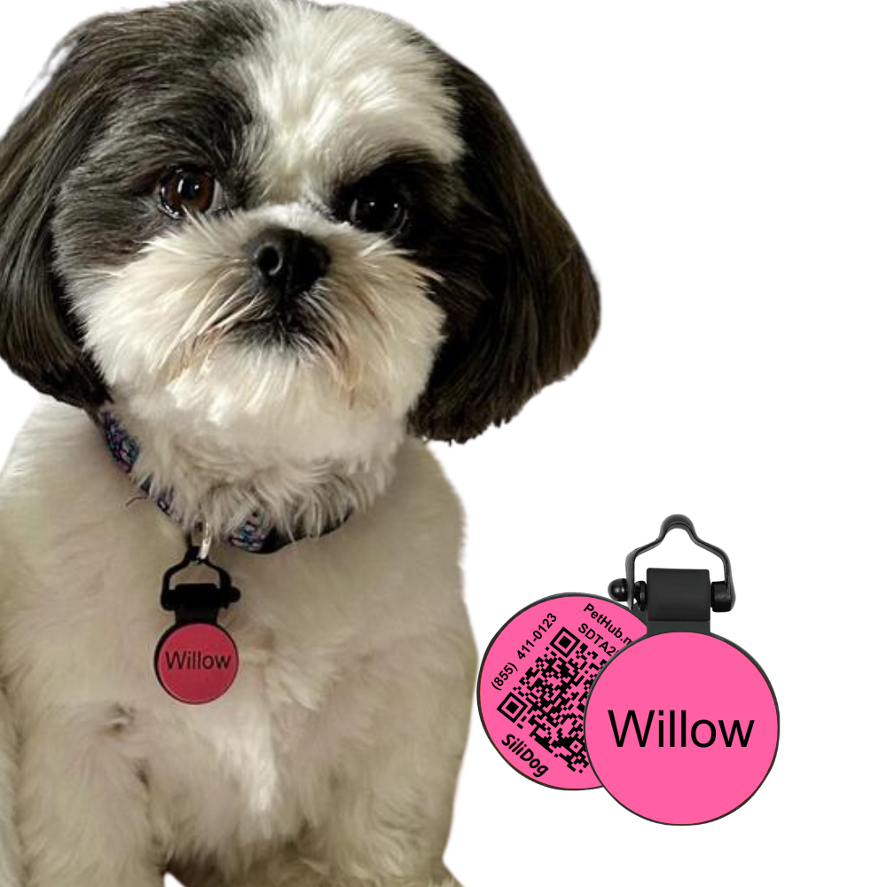 Digital QR Pet ID Tag product image 2