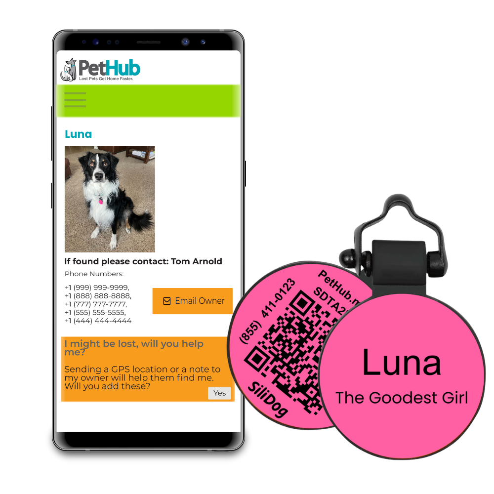 Digital QR Pet ID Tag product image 3