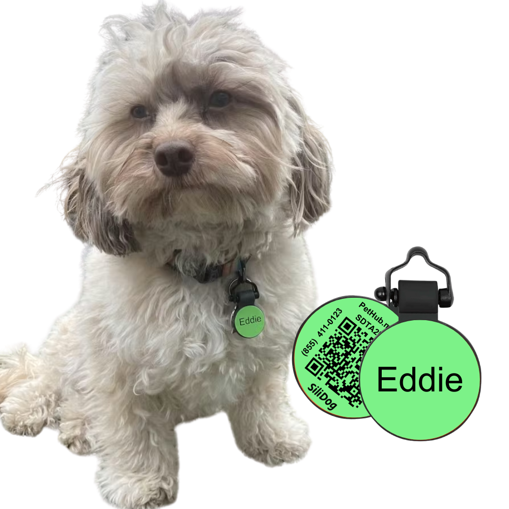 Digital QR Pet ID Tag product image 2