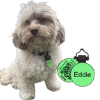 Digital QR Pet ID Tag product image 2