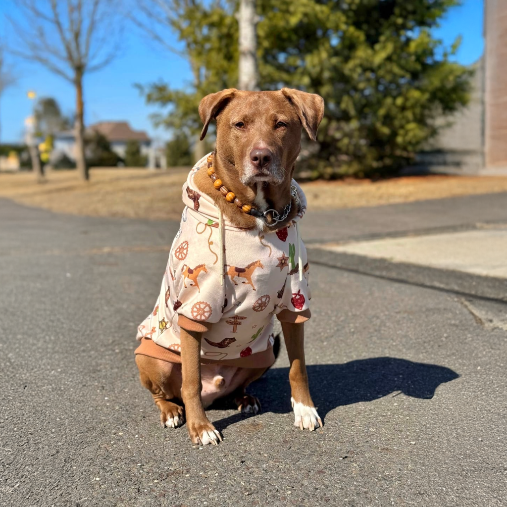 Dog Hoodie product image 39