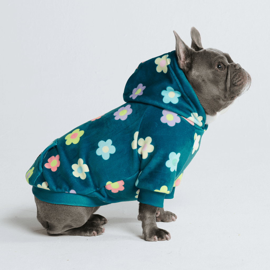 Dog Hoodie product image 47