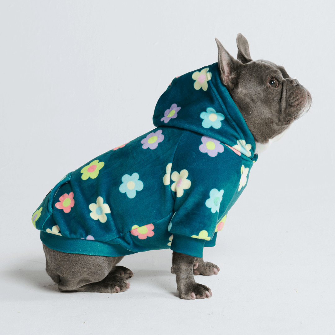Dog Hoodie product image 47