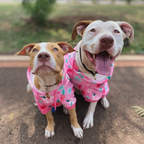Dog Hoodie product image 61