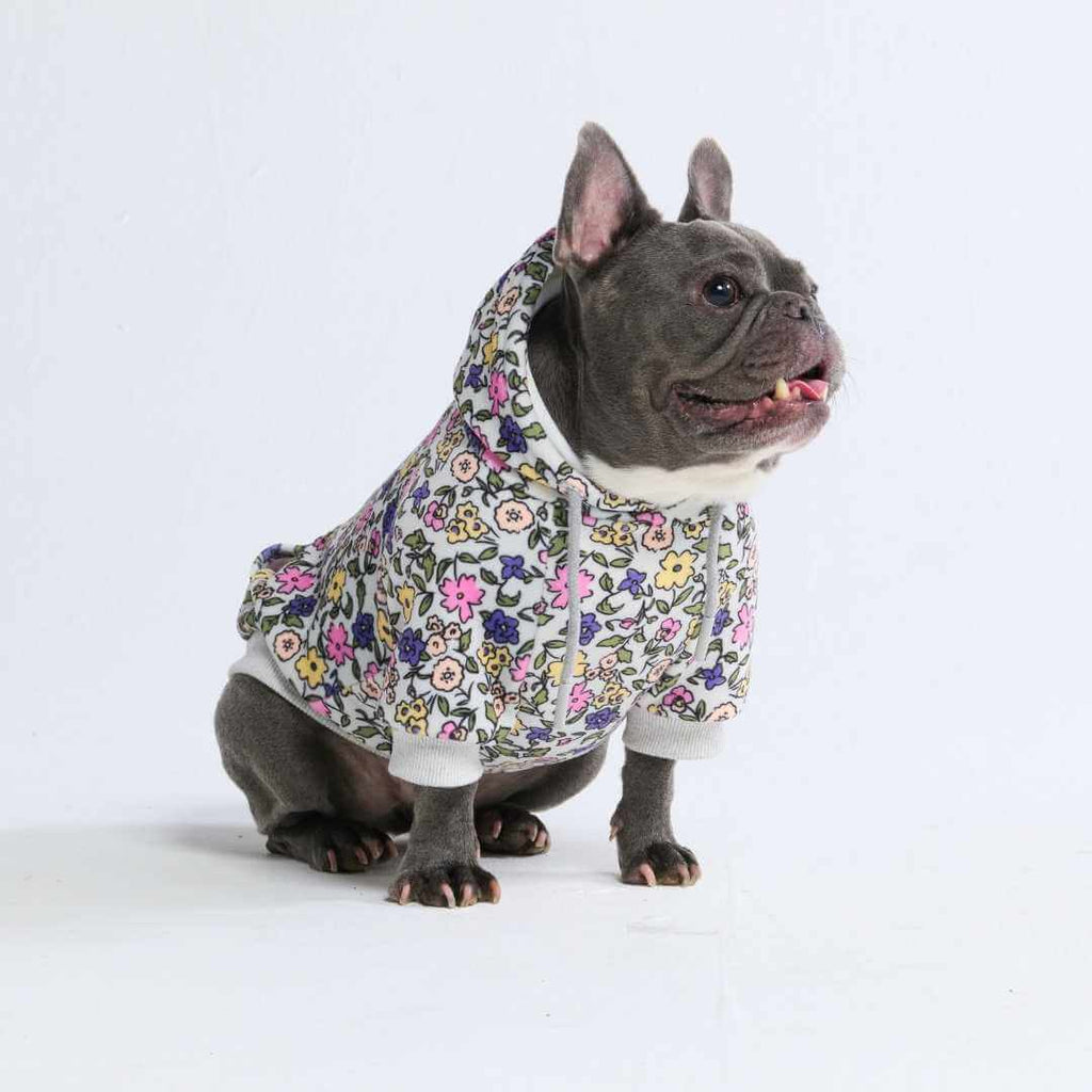 Dog Hoodie product image 63