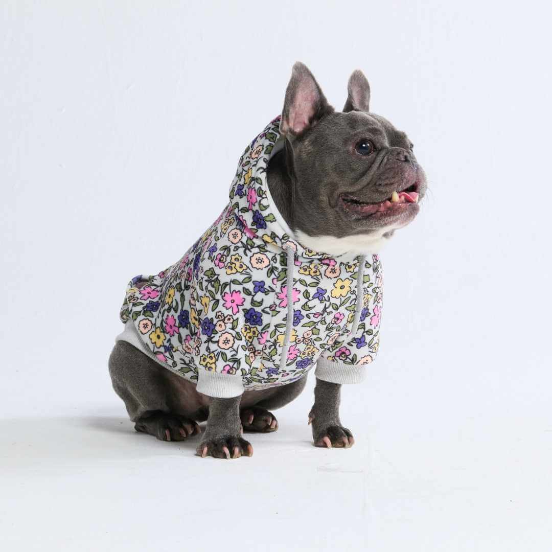 Dog Hoodie product image 63