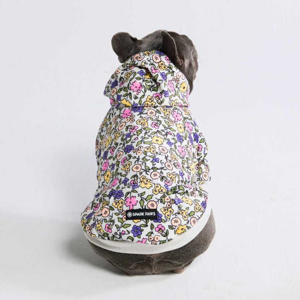 Dog Hoodie product image 64