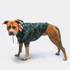 Dog Hoodie product image 87