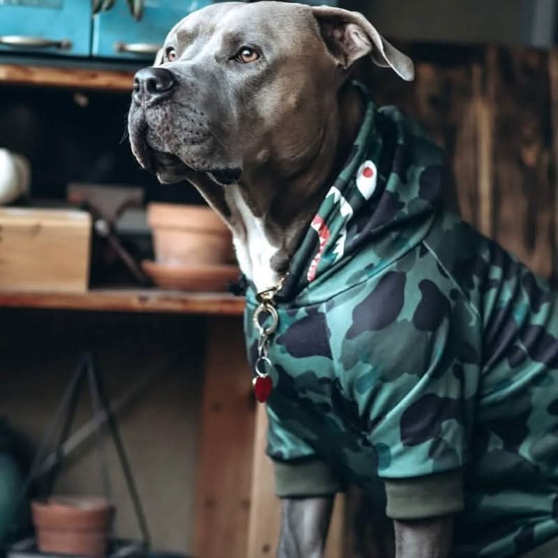 Dog Hoodie product image 89