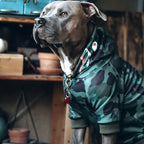 Dog Hoodie product image 89