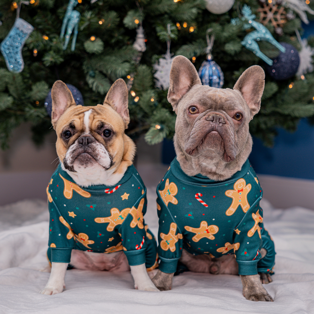 Dog Christmas Pajamas product image 12