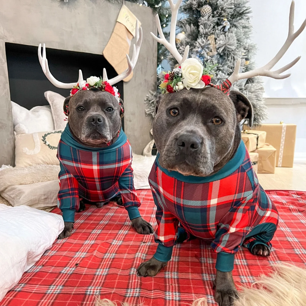 Dog Christmas Pajamas product image 24
