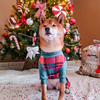 Dog Christmas Pajamas product image 25