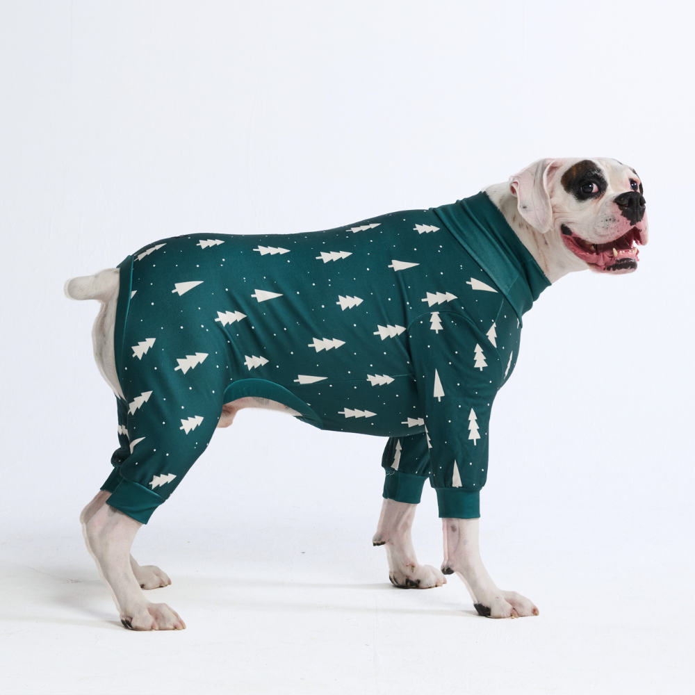 Dog Christmas Pajamas product image 99