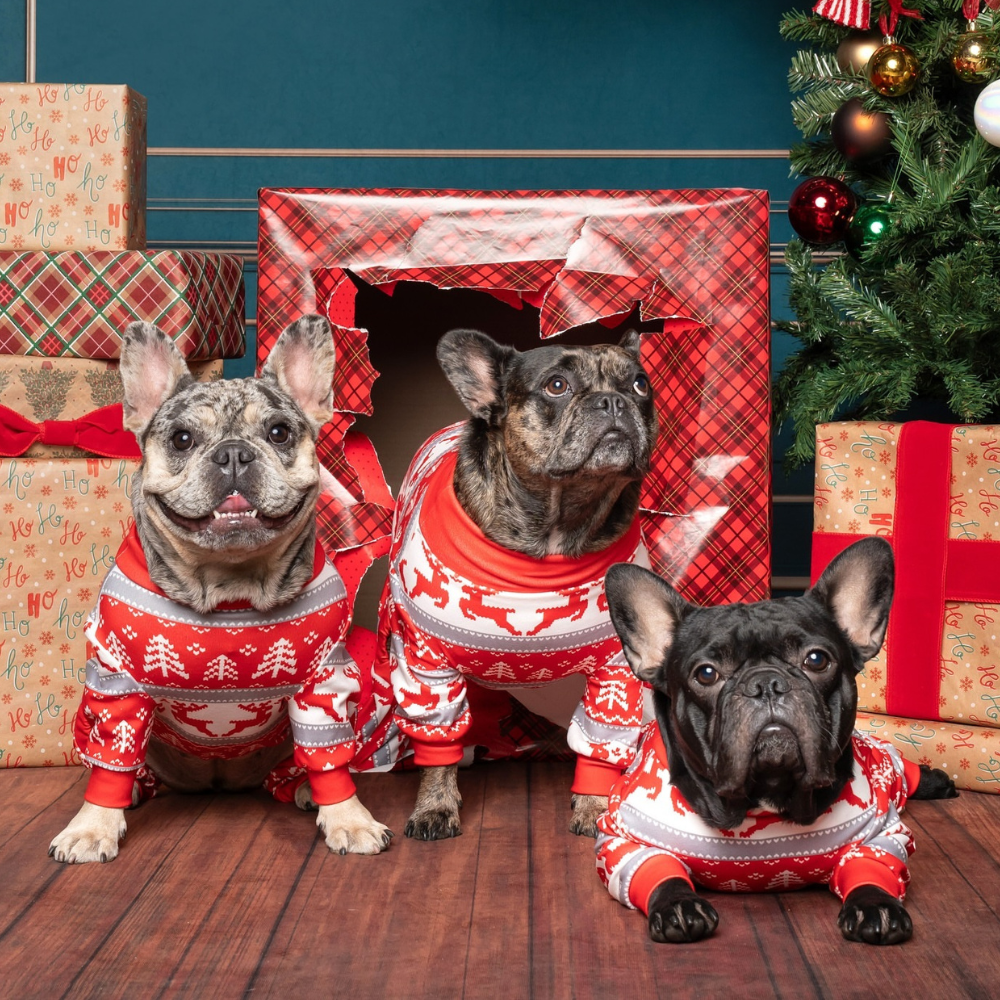 Dog Christmas Pajamas product image 127