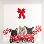 Dog Christmas Pajamas product image 139