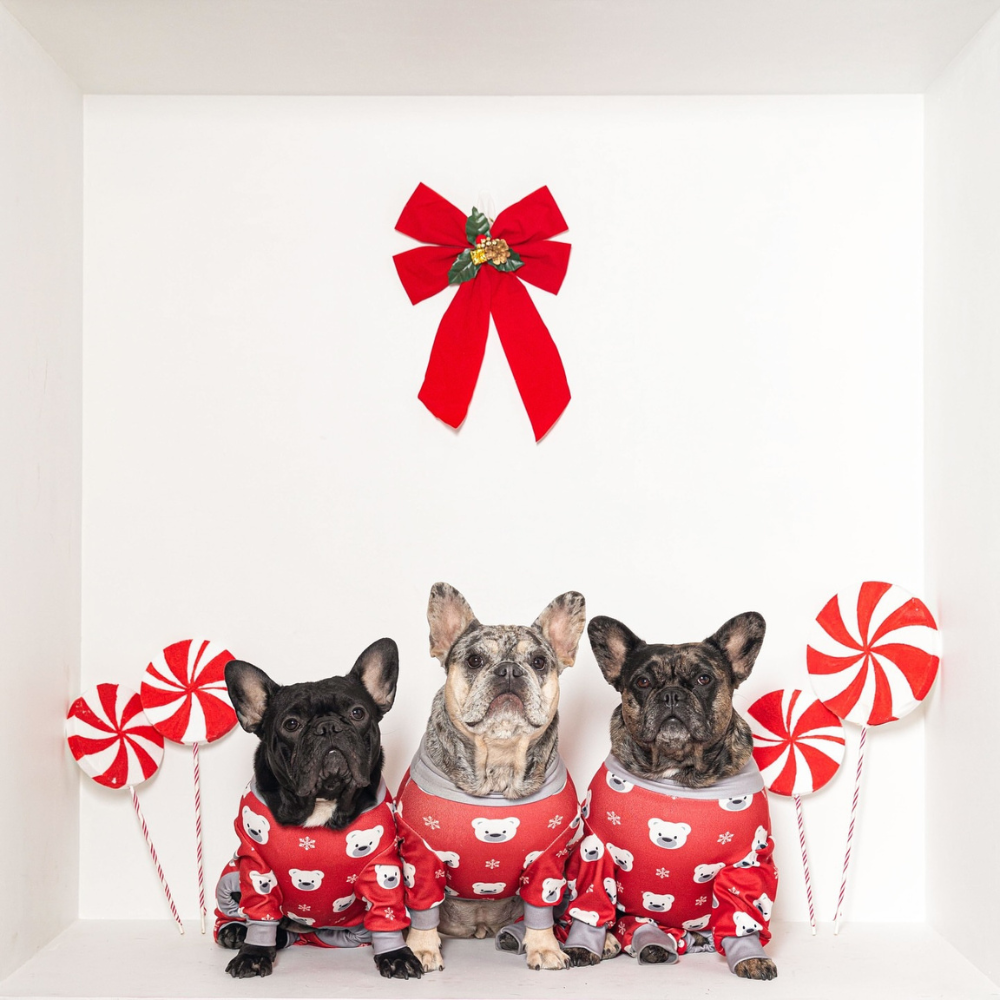 Dog Christmas Pajamas product image 139