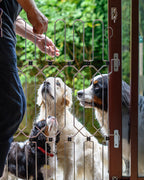 Retractable Dog Gate product image 1