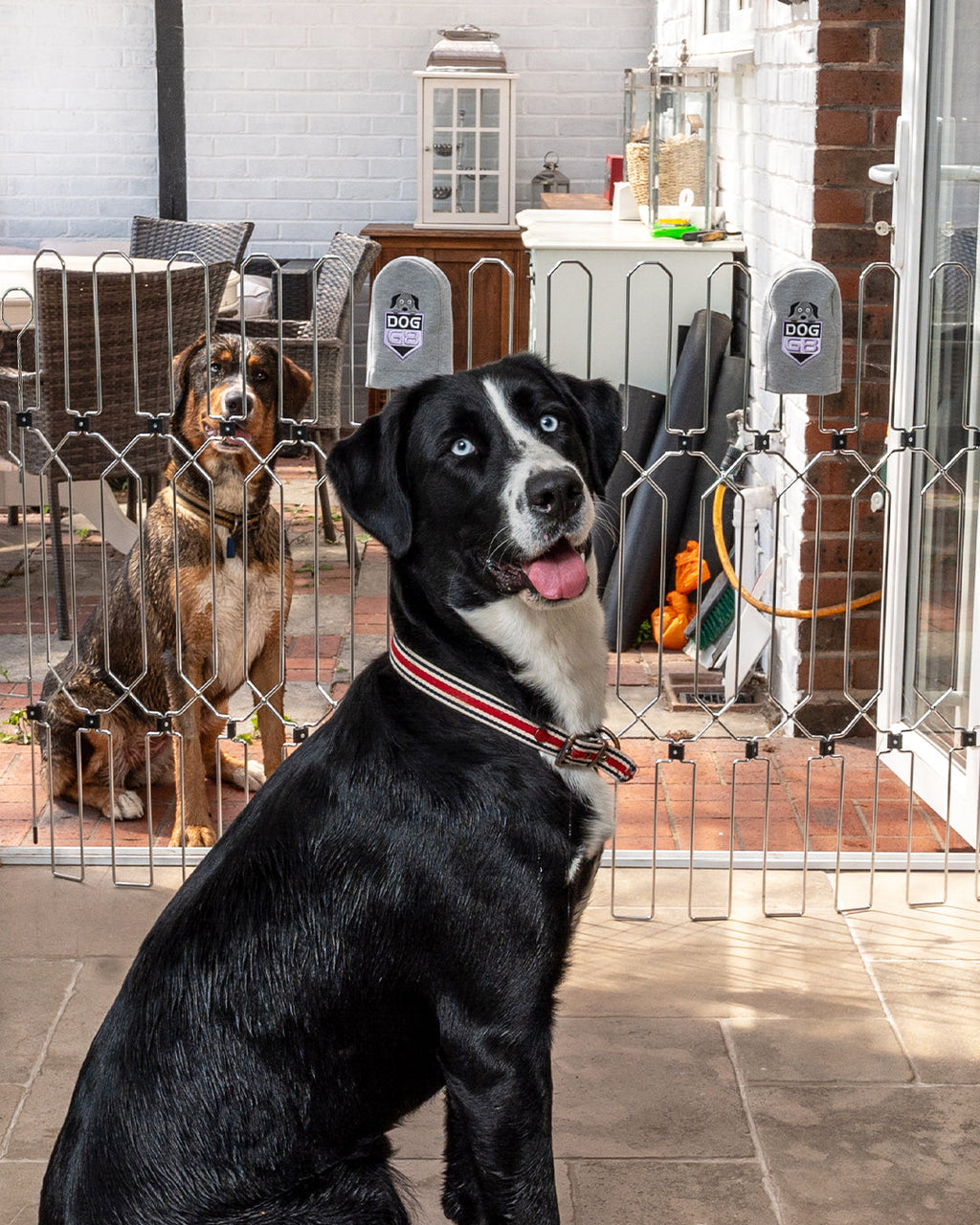 Retractable Dog Gate product image 3