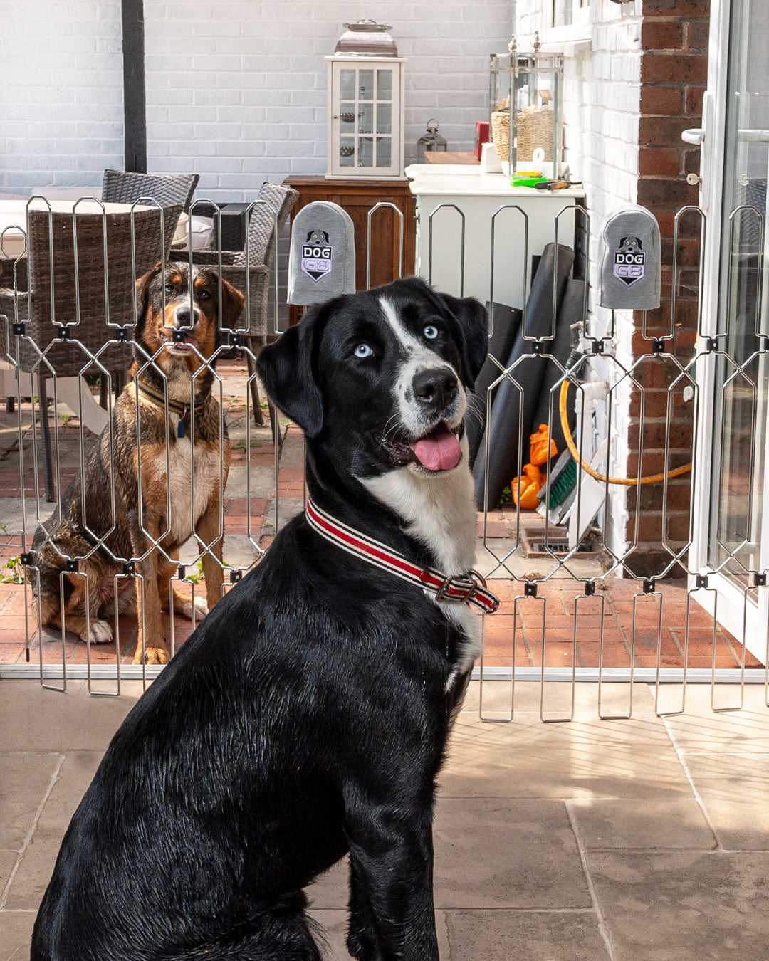 Retractable Dog Gate product image 3