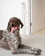 Retractable Dog Gate product image 5