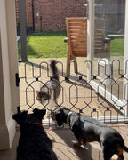 Retractable Dog Gate product image 6