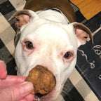 Dog Treat product image 4