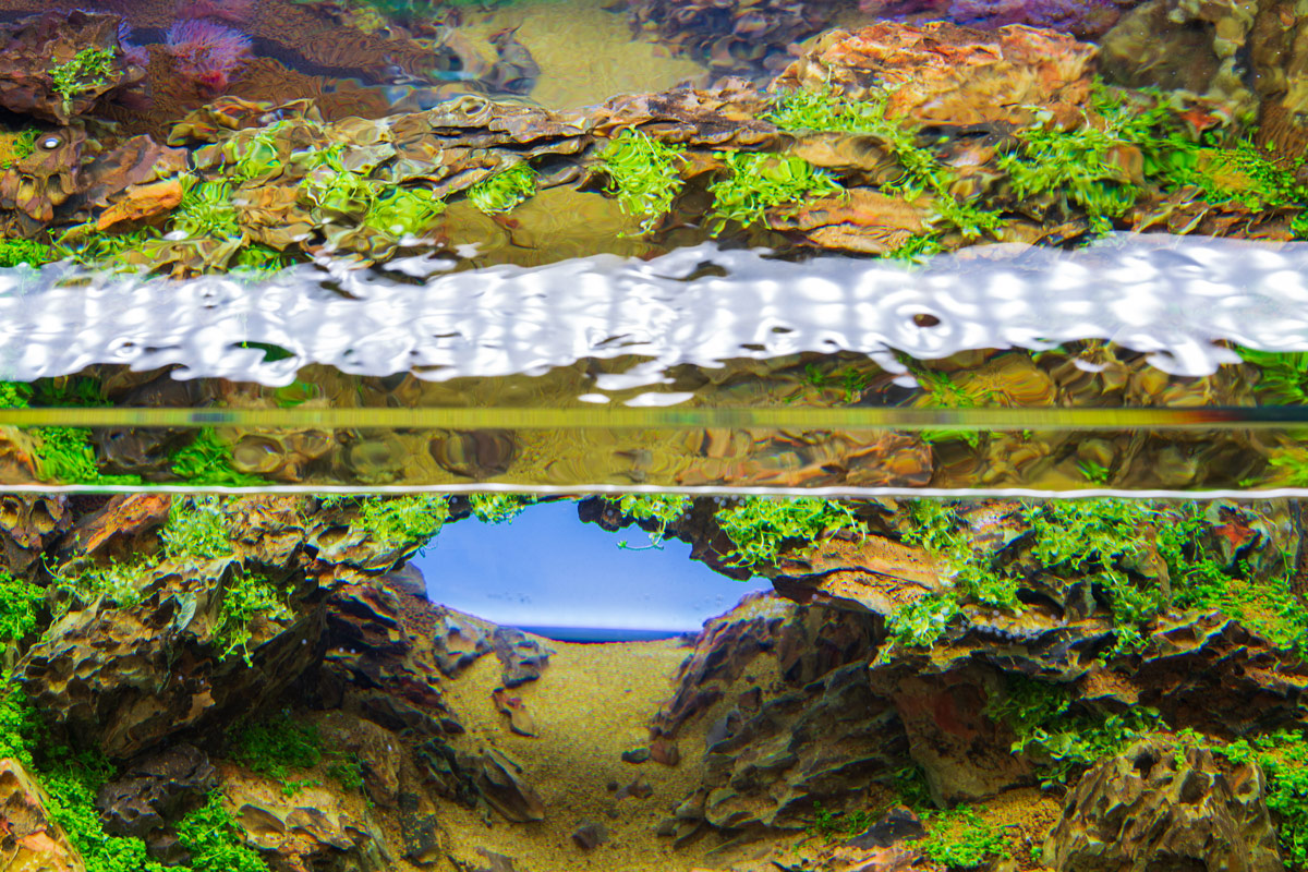 Aquarium LED Light product image 6