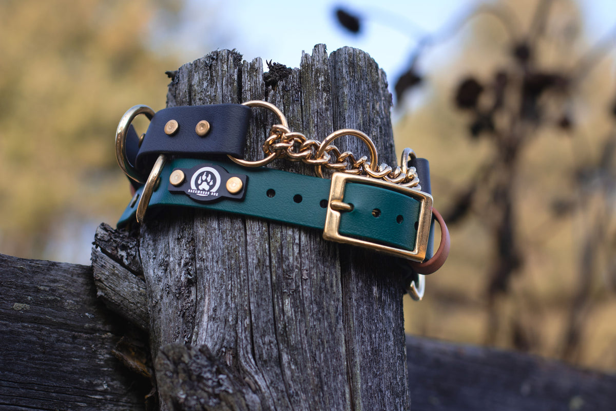 Martingale Collar product image 2