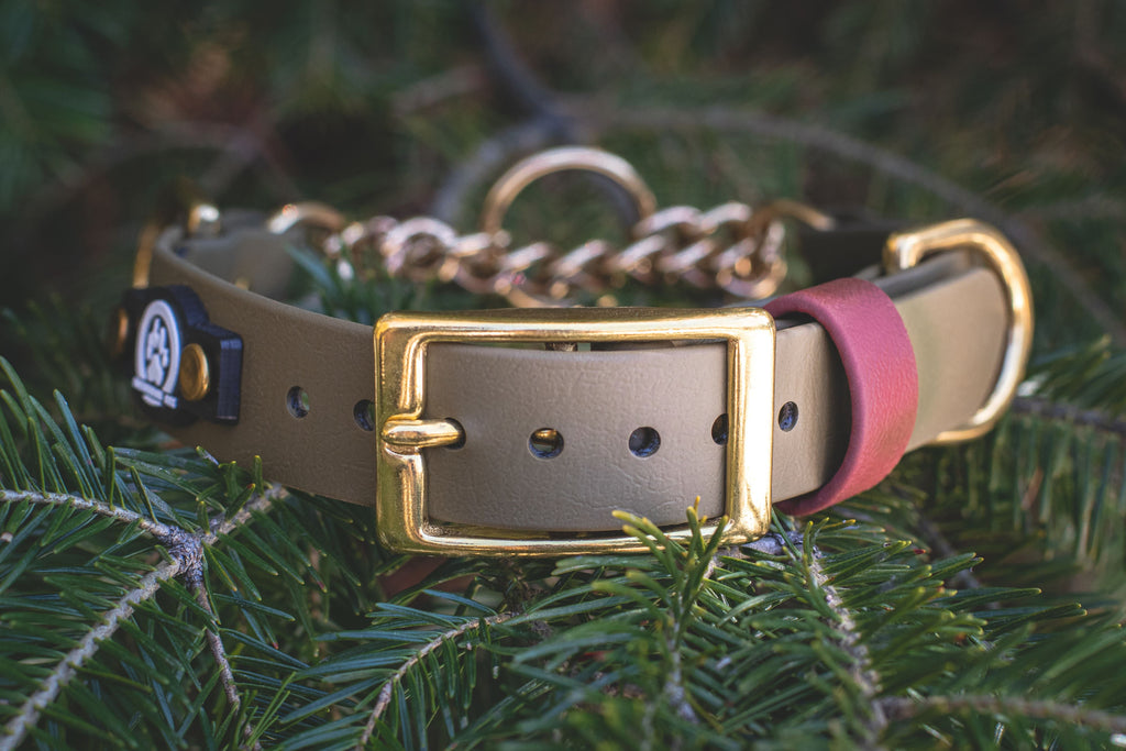 Martingale Collar product image 4