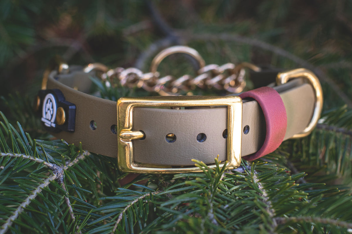 Martingale Collar product image 4