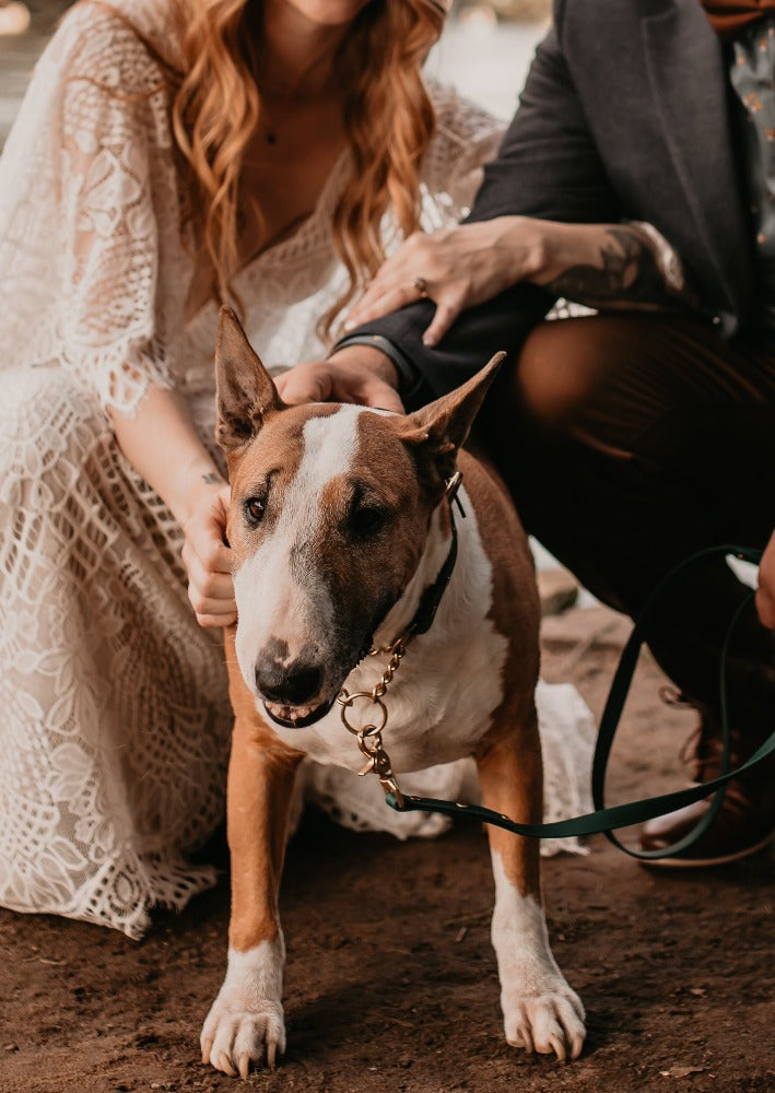 Martingale Collar product image 8