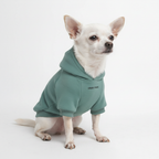 Fleece-Lined Dog Hoodie, S