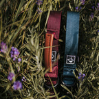 Control Collar product image 23