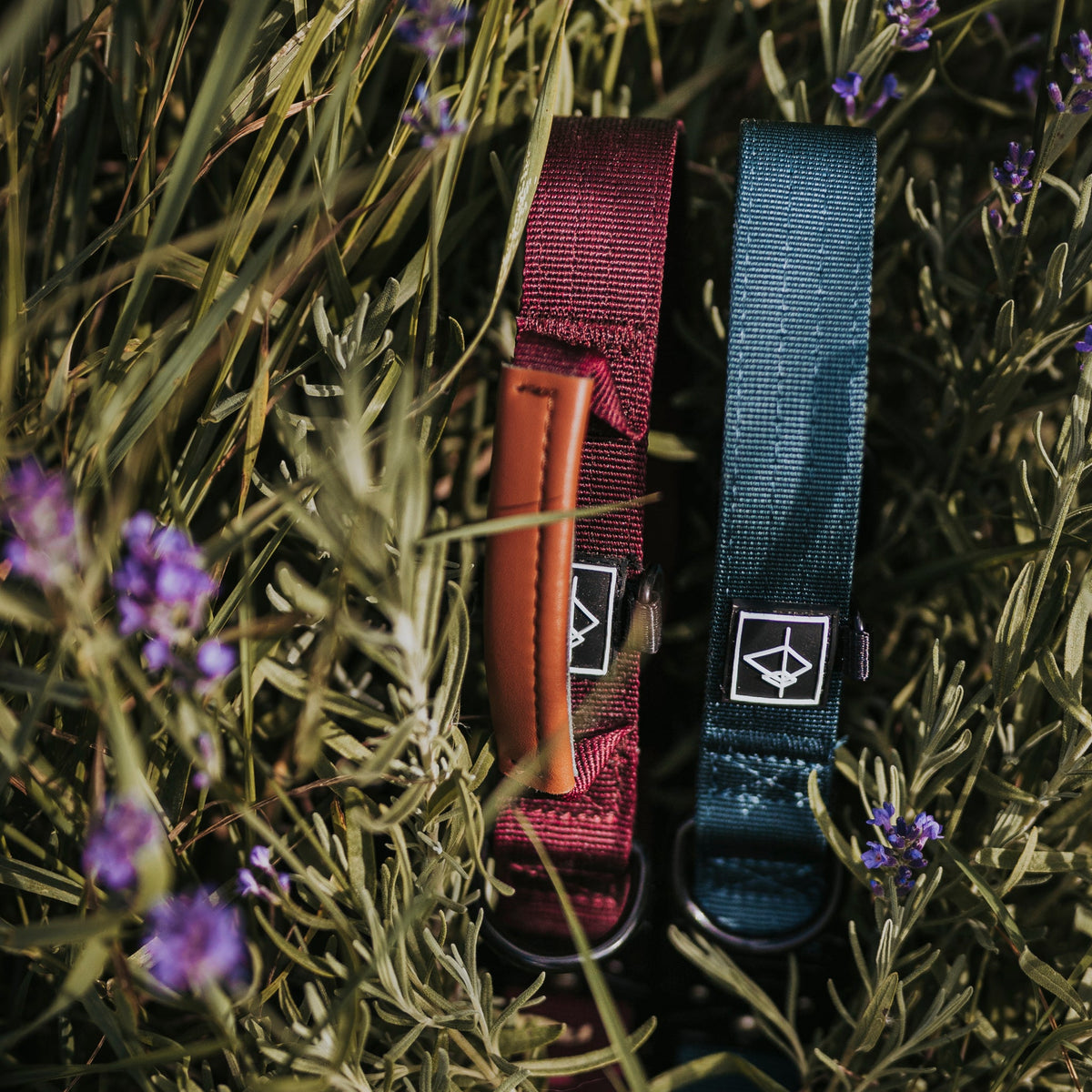 Control Collar product image 23