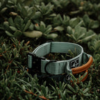 Control Collar product image 32
