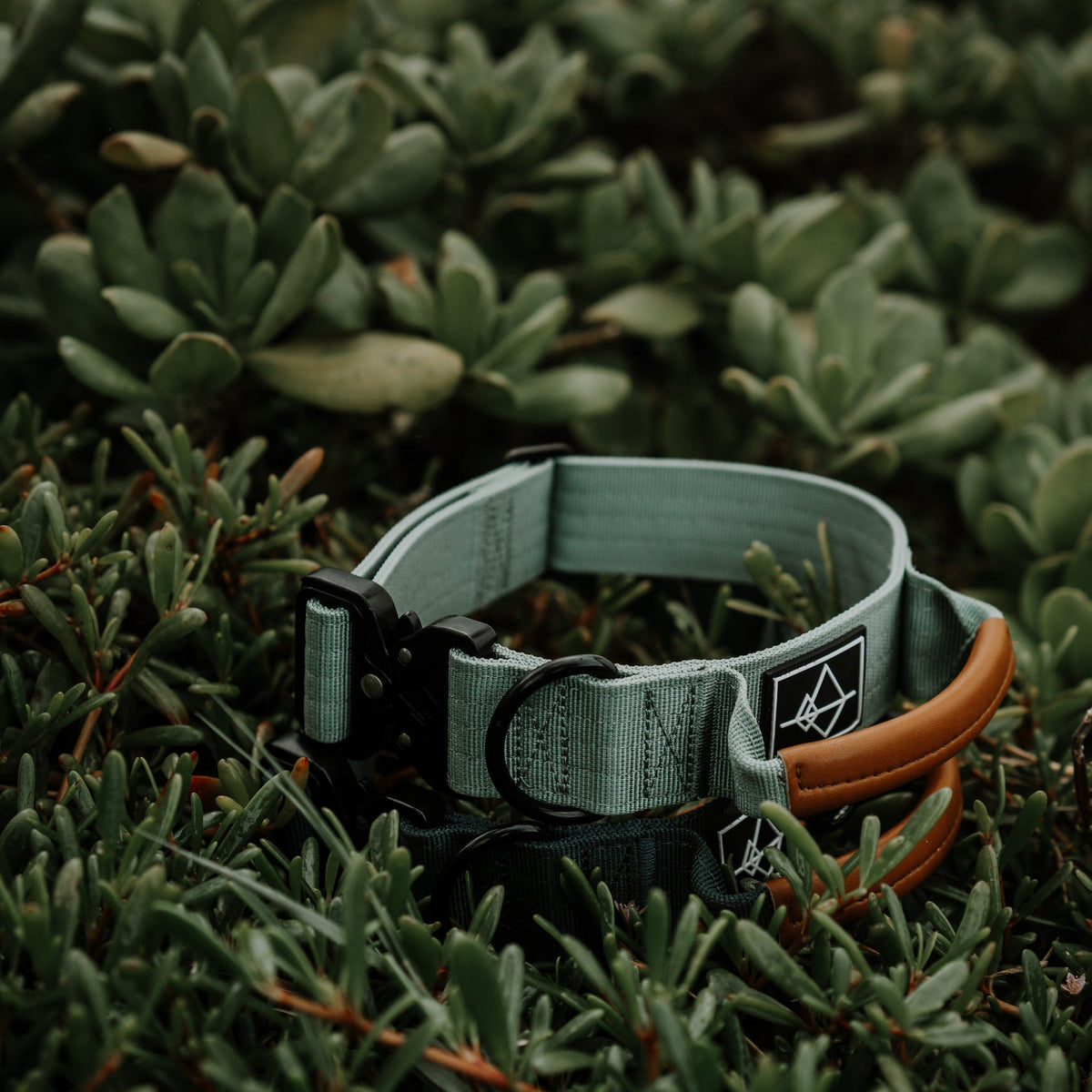 Control Collar product image 32