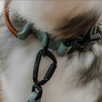 Control Collar product image 34