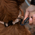 Control Collar product image 37