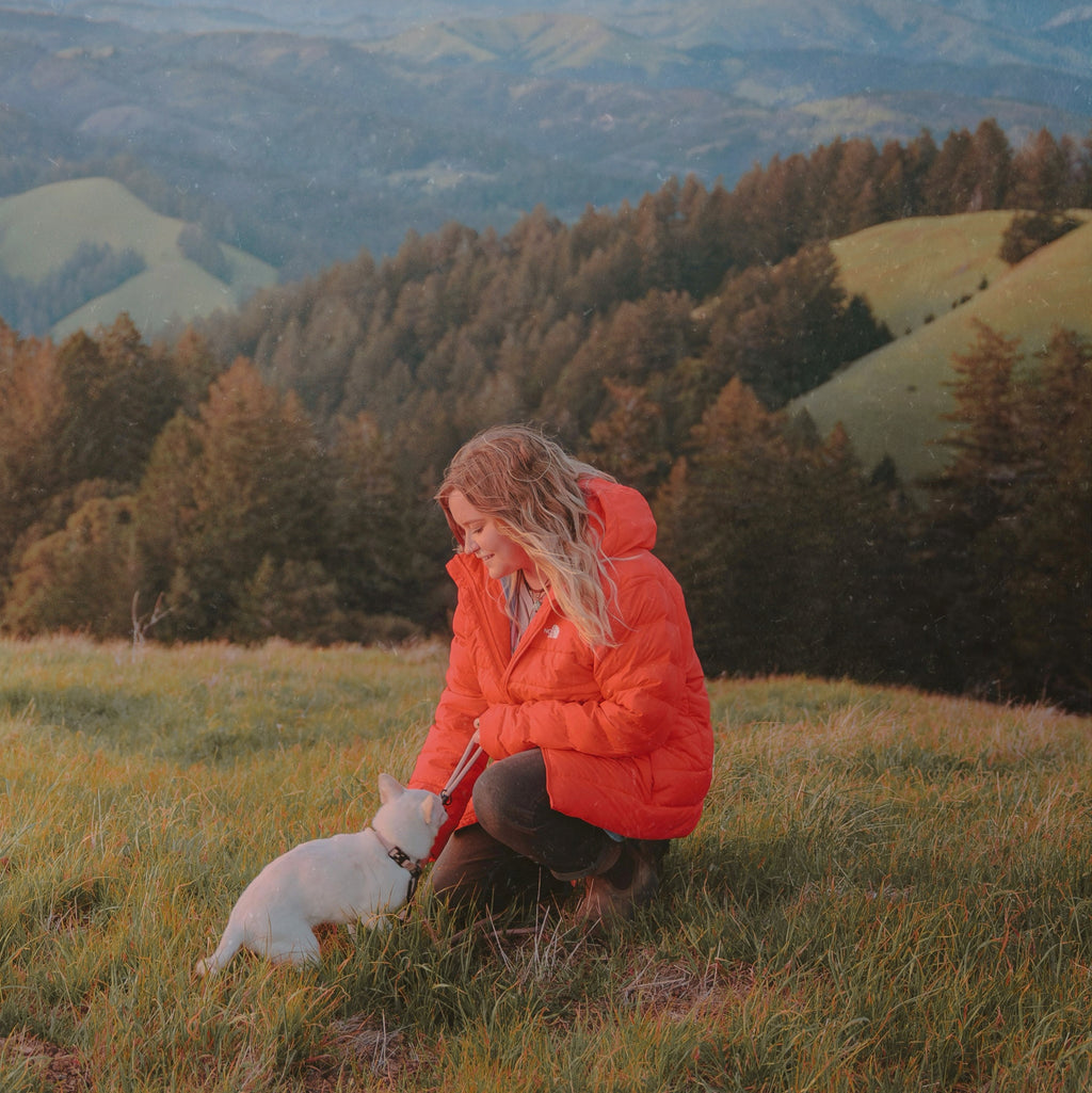 Control Collar product image 50