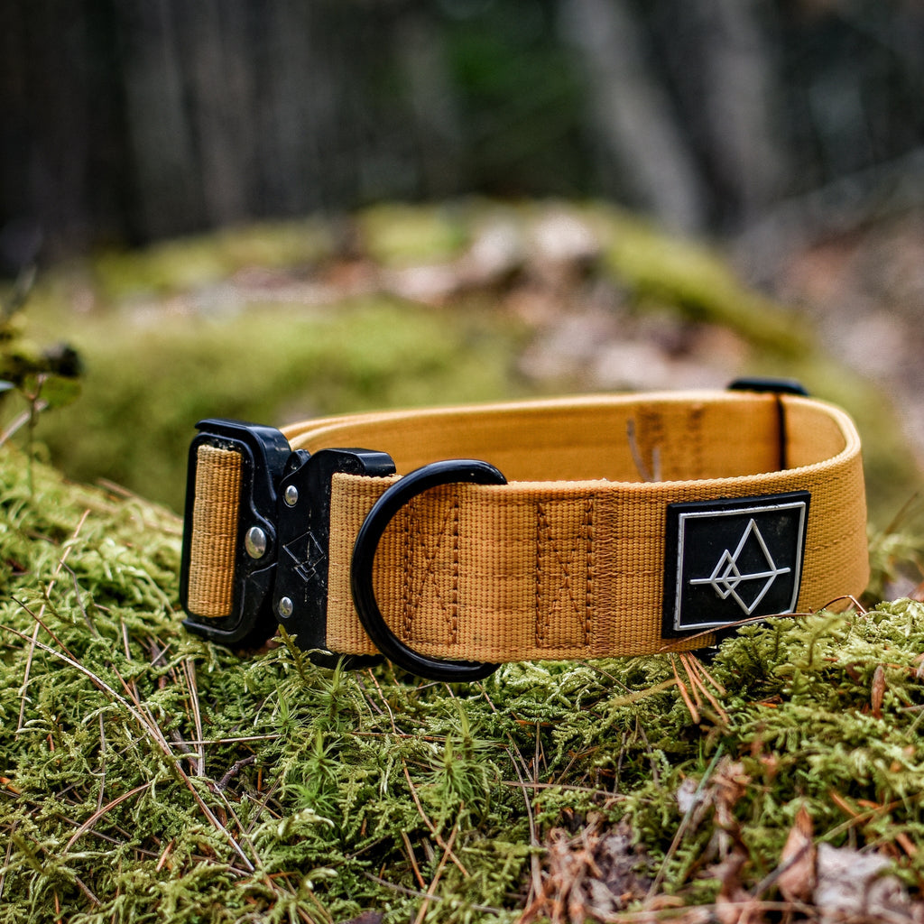 Control Collar product image 55