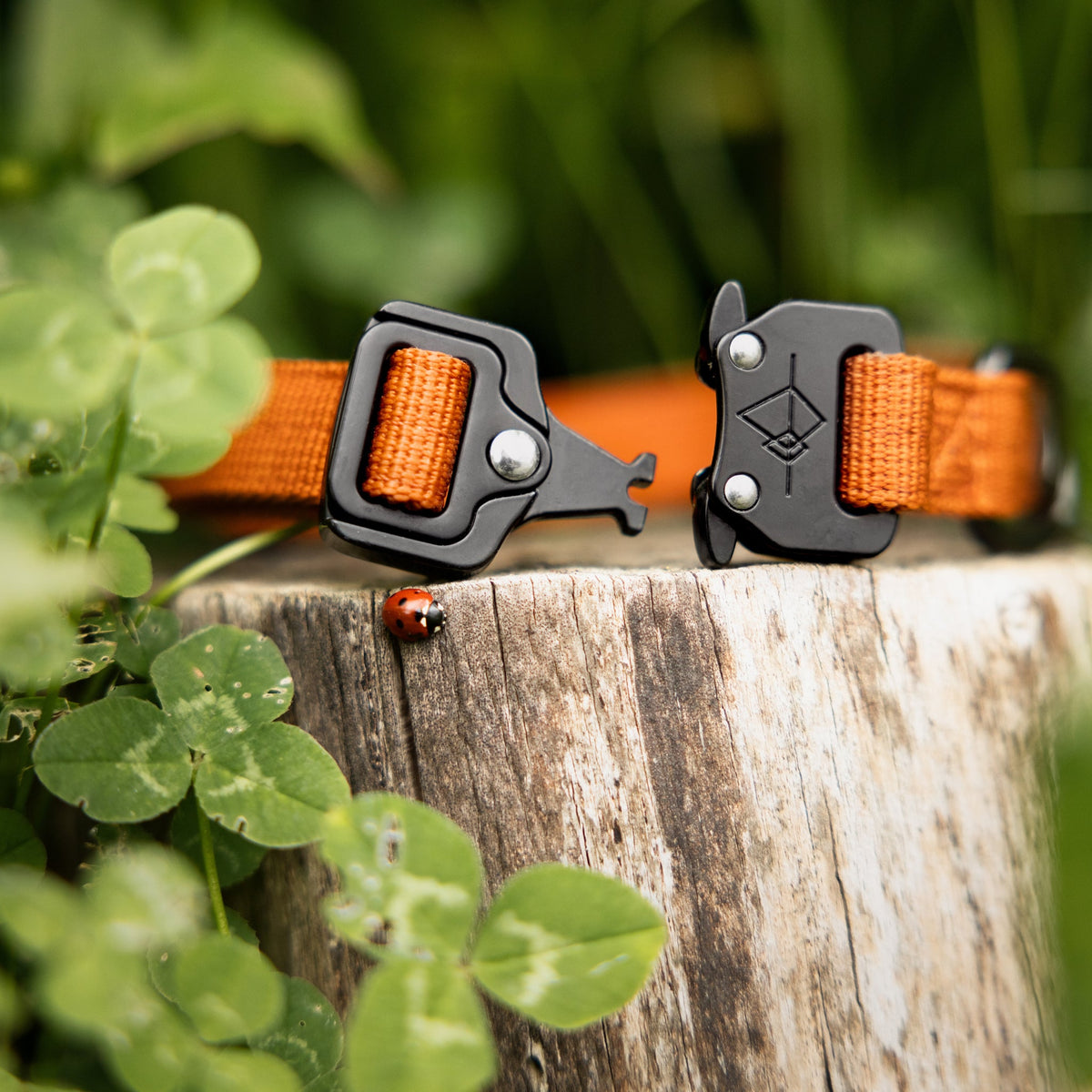 Control Collar product image 61