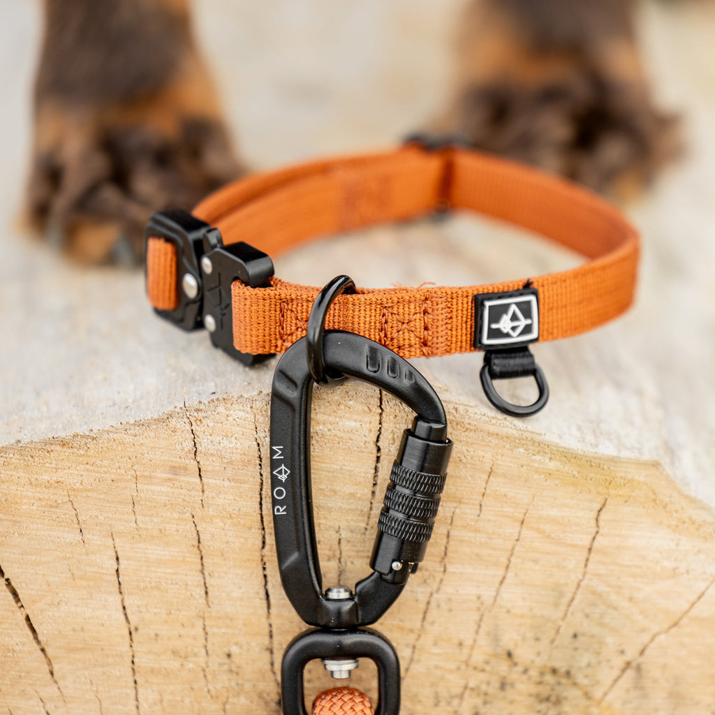 Control Collar product image 63