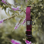 Control Collar product image 66