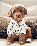 Dog Shirt product image 1
