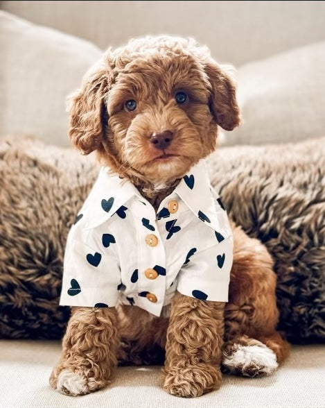Dog Shirt product image 1