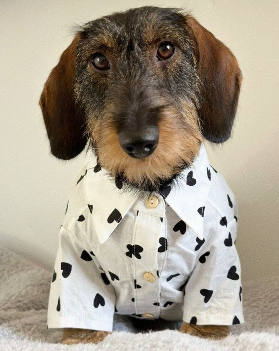 Dog Shirt product image 5
